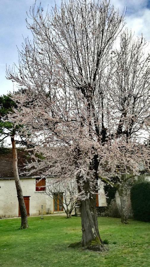 La Haute Traversiere Francueil Buitenkant foto